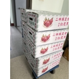 梅秀容、廖耀宗、黃愛茉 捐贈火龍果10箱